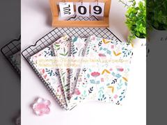 白紙のページ1枚の主題ページレイアウト スパイラルハードカバーノート 100ページ